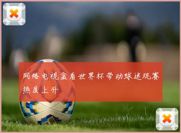 网络电视盒看世界杯带动球迷观赛热度上升