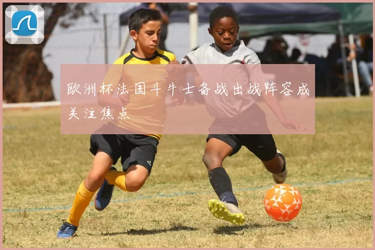 欧洲杯法国斗牛士备战出战阵容成关注焦点
