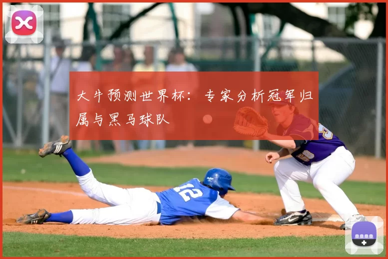 大牛预测世界杯：专家分析冠军归属与黑马球队