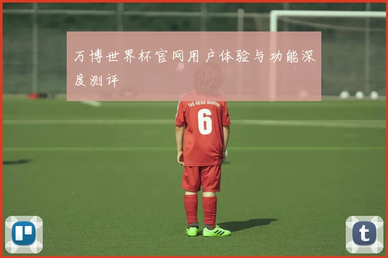 万博世界杯官网用户体验与功能深度测评