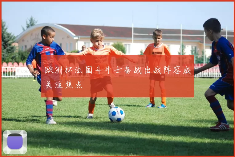 欧洲杯法国斗牛士备战出战阵容成关注焦点
