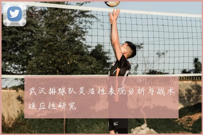 武汉排球队灵活性表现分析与战术适应性研究