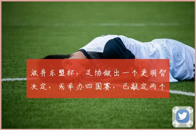 放弃东盟杯,足协做出一个更明智决定,或举办四国赛,已敲定两个对手