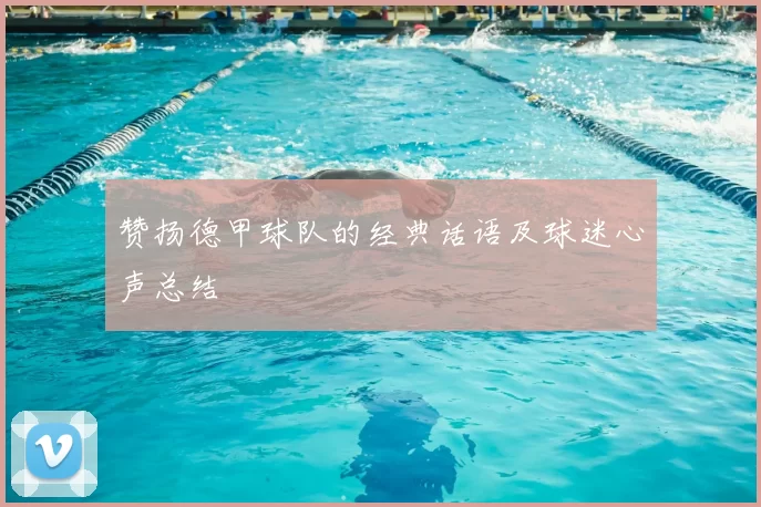 赞扬德甲球队的经典话语及球迷心声总结