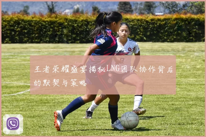 王者荣耀盛宴揭秘LNG团队协作背后的默契与策略