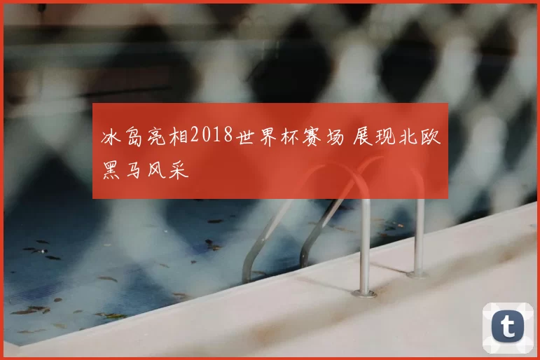 冰岛亮相2018世界杯赛场 展现北欧黑马风采
