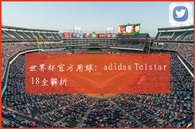 世界杯官方用球:adidas Telstar 18全解析