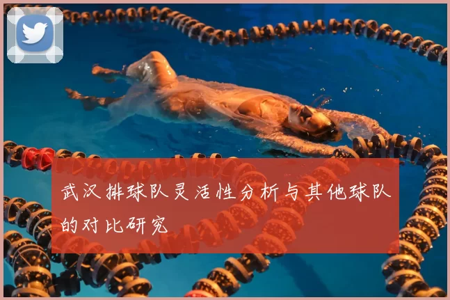 武汉排球队灵活性分析与其他球队的对比研究